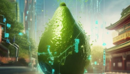 北京，牛油果与信息技术咨询服务的碰撞与重生