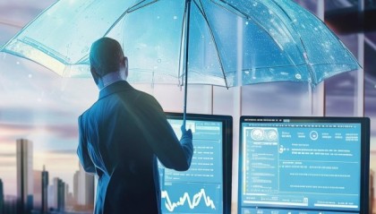 雨扬，精准的咨询，专业的服务，创新的未来