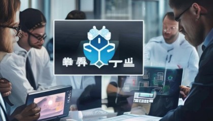 西城信息咨询服务，精准选择，助力企业提升竞争力