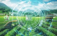 合水信息咨询服务，助力智慧农业的新引擎