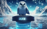 鸡子信息咨询服务，助力企业数字化转型的守护者