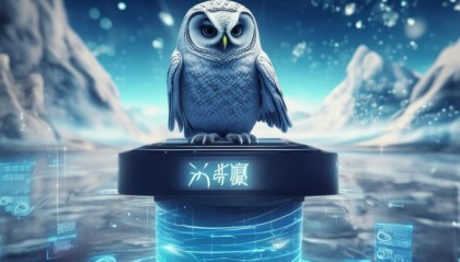 鸡子信息咨询服务，助力企业数字化转型的守护者