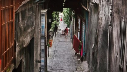 阳光与机遇，阜新信息咨询服务的崛起之路