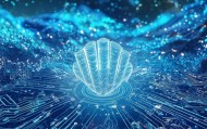 海贝信息技术咨询服务，助力企业数字化转型的强大力量