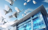 鸿雁商讯，智慧咨询之选，商业领域的精准机遇
