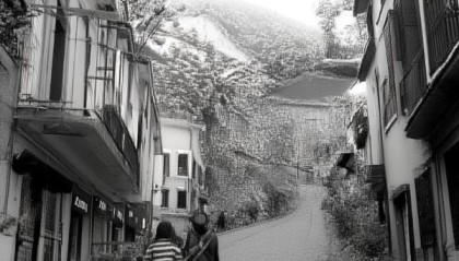 蒲城，信息咨询服务领域的标杆