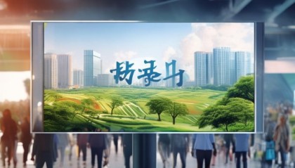 环江信息咨询服务，助力区域经济发展与民生改善