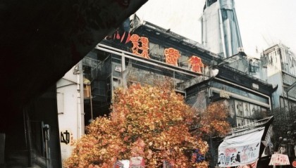 森瑜然，信息咨询服务领域的创新者