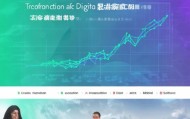 中阳信息化网站推广咨询，助力企业数字化发展