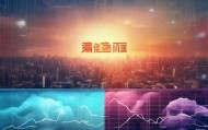 日照信息咨询服务，机遇与挑战并存，未来在哪里？