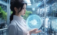 倩娜莉萍，技术赋能，未来之选—莉萍信息技术咨询