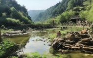 生态信息咨询服务助力城市绿色发展与生态保护