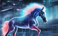 梦马信息技术咨询，未来趋势与市场分析
