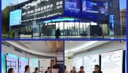 石家庄信息咨询服务，服务保障民生的创新实践