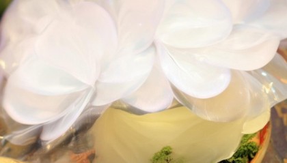 三友信息咨询服务中心，助力您的数据与行动