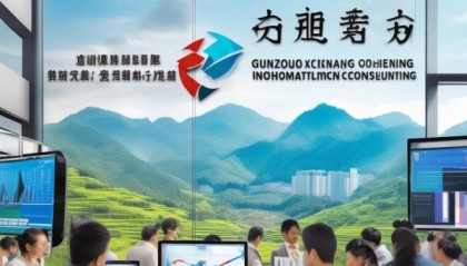 贵州新隽晟信息技术咨询，助力贵州经济高质量发展