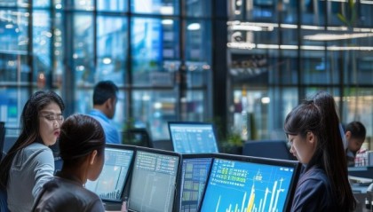东坑，信息化财务咨询领域的专业选择