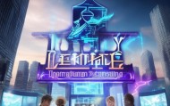 路飞通信息技术咨询，助力企业迈向数字化新高度