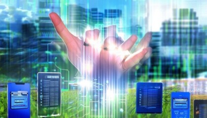 金华叮叮信息技术咨询，助力企业数字化转型的智慧之手