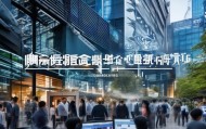 成都信息咨询服务，创新与发展的领导者