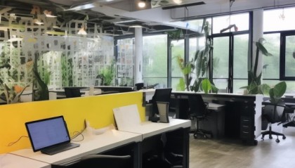 靳晓燕，信息咨询服务领域的创新者与实践者