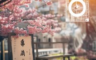 诗诗信息咨询服务，助力精准市场定位