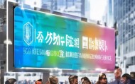 高密市兰域信息咨询服务，助力企业发展与安全