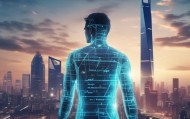 问全信息咨询服务，上海的未来与挑战