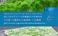 南京竹子信息技术咨询，助力智慧城市建设，推动绿色经济发展