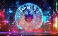 张湾信息咨询服务，赋能未来的技术未来