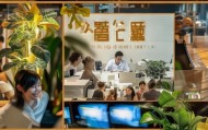 妙善咨询服务招聘信息