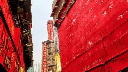 重庆红柚，数字时代的见证者