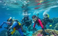 海南 diving与技术咨询，从优化到平台化