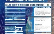 国内信息化咨询行业排名，机遇与挑战