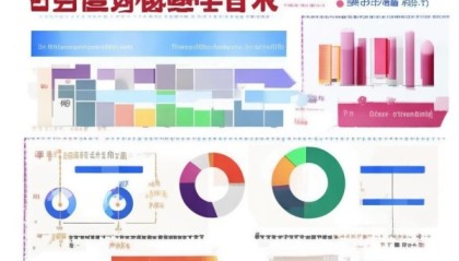 拼多多信息咨询服务费用分析与优化建议