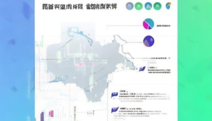 223武汉迈力拓信息咨询服务发展报告