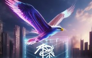 奥翔，智联信息咨询服务的未来