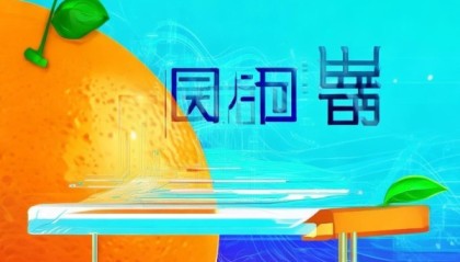 桔子信息咨询服务，赋能您的数字化转型