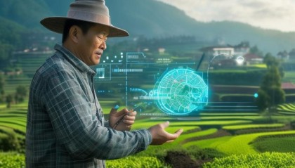 河南一亩半，信息咨询服务的创新与未来