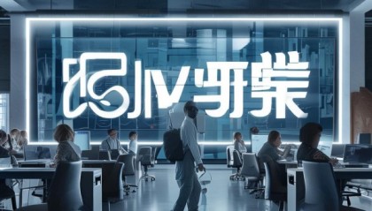 信佰信息技术咨询，高效决策的优选