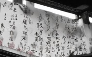 洱源，数据驱动决策的先锋者，定制化服务胜出市场