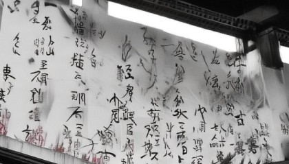 洱源，数据驱动决策的先锋者，定制化服务胜出市场