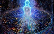 贝迪迪，在信息世界中绽放的智慧之光
