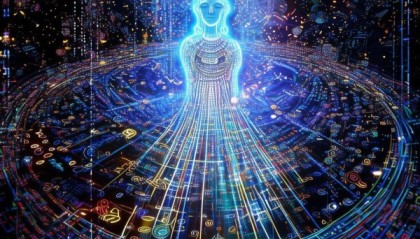 贝迪迪，在信息世界中绽放的智慧之光