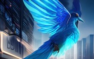蓝鹏信息咨询服务，助力企业迈向未来