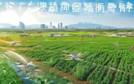河北农业信息化管理现状及未来发展趋势