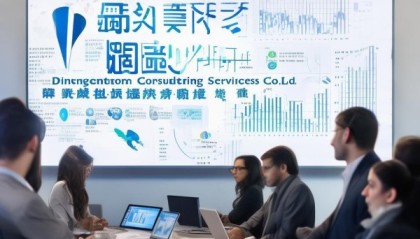 定襄信息咨询服务，机遇与挑战解析