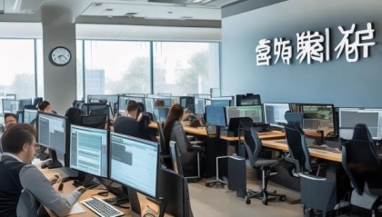 瑞成信息咨询服务，效率与精准