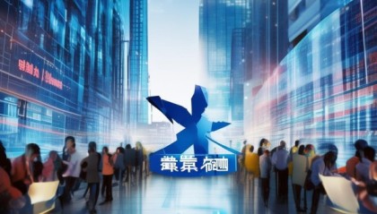 大连佰诚信息技术咨询，助力企业数字化转型的卓越解决方案