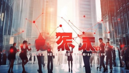 红河信息咨询服务，助力未来商业发展